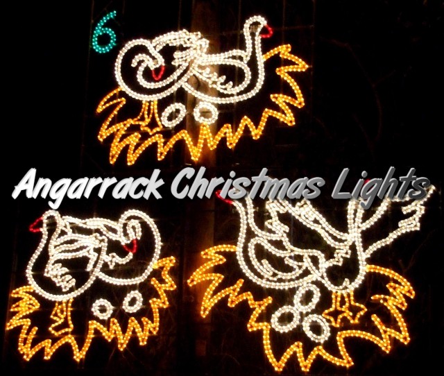 Angarrack Christmas Lights - 06 - Geese A Laying Angarrack Christmas Lights - 06 - Geese A Laying